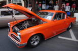 dsc04555.jpg